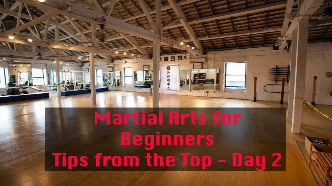 Martial Arts for Beginners - Tips from the Top 3 Day Series / Day 2