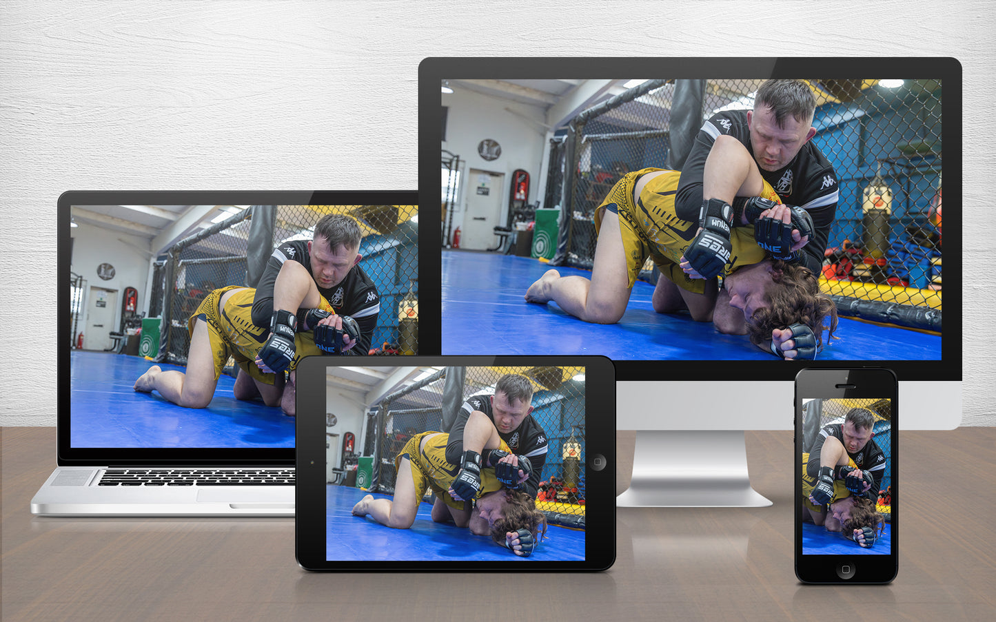 A graphic image of the MMA Instructional Volume
