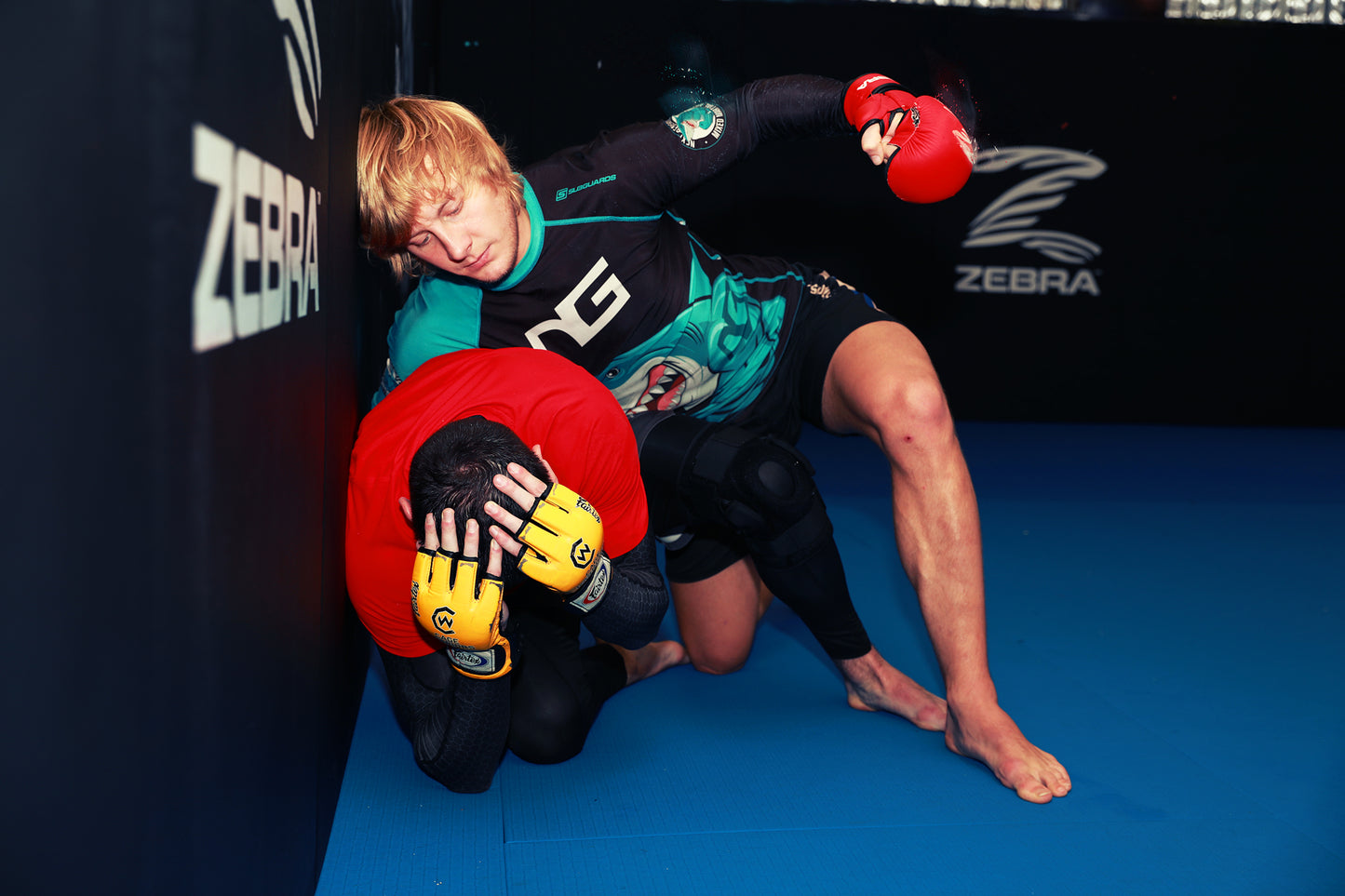 A photo of Paddy and Adam demonstrating striking against the cage wall in training