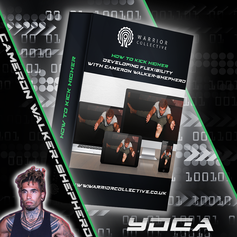 How to Kick Higher - Flexibility for Martial Arts with Cameron Walker-Shepherd
