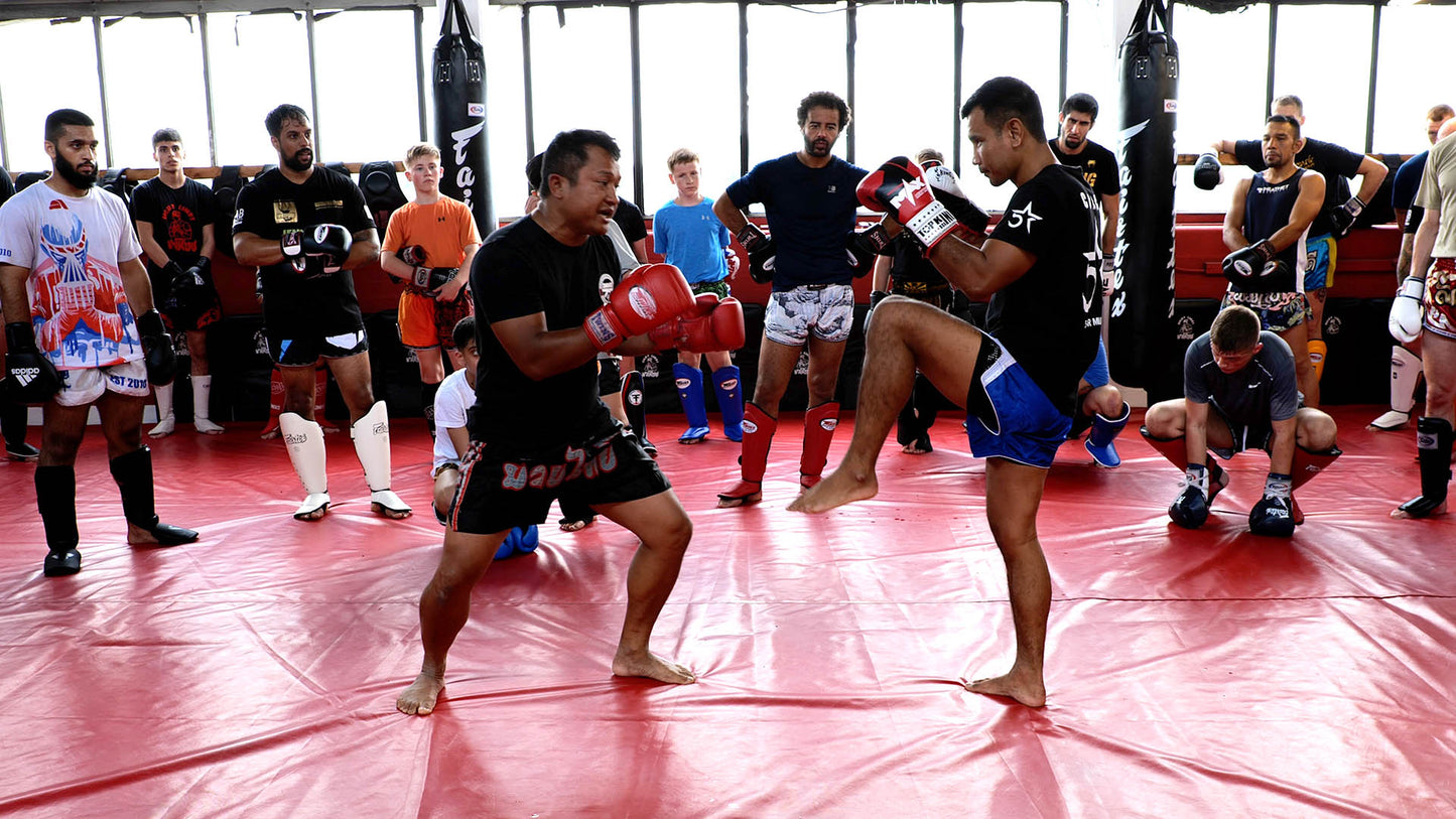Muay Thai Training Seminar - Thailand Charity