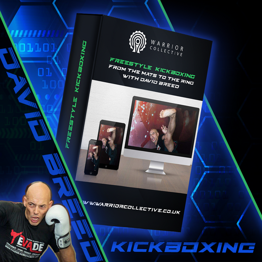 Freestyle Kickboxing From the Mats to the Ring with David Breed