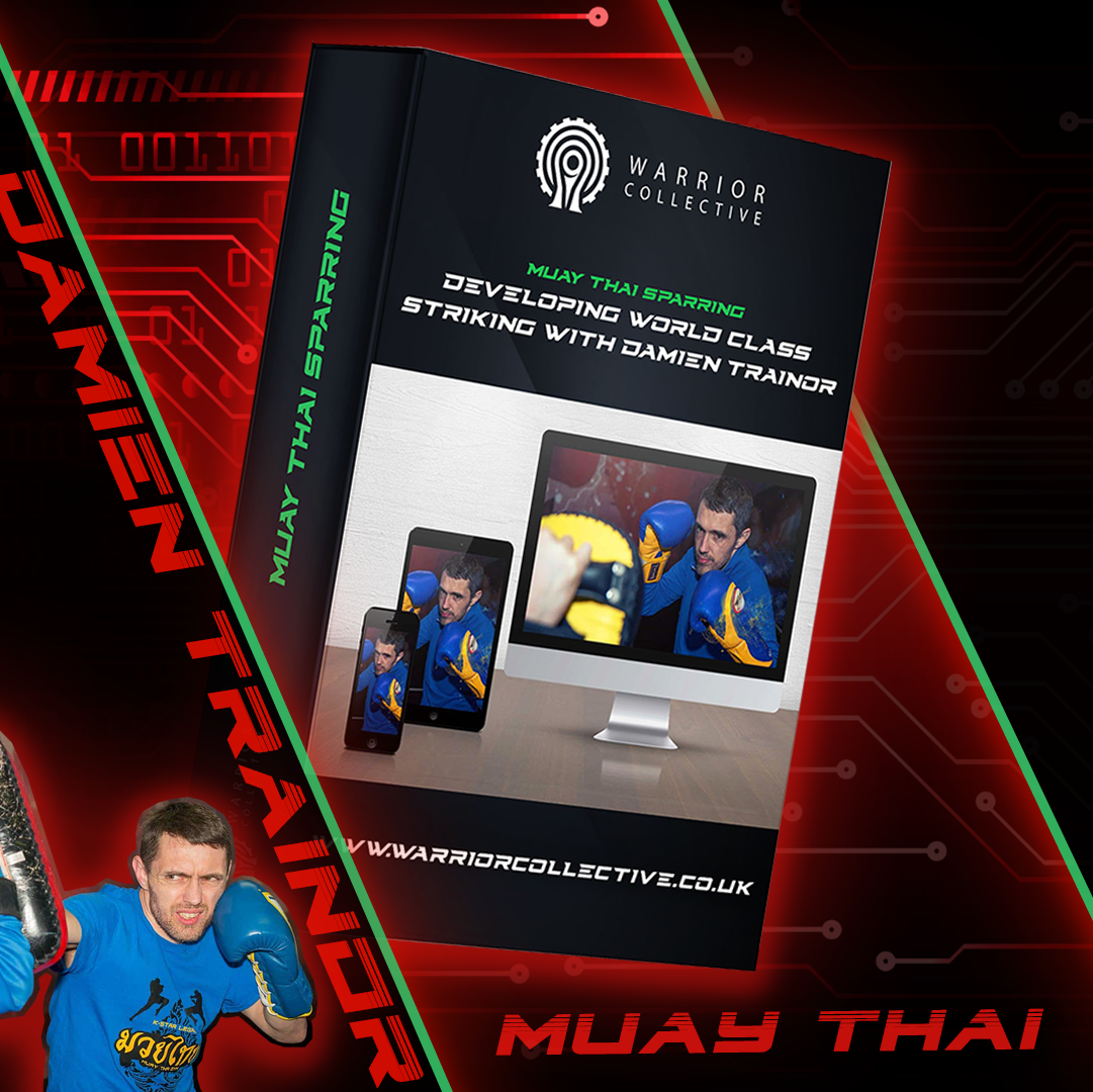 Muay Thai Sparring - Developing World Class Striking with Damien Trainor