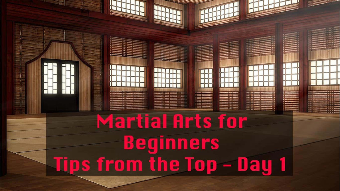 Martial Arts for Beginners - Tips from the Top 3 Day Series / Day 1