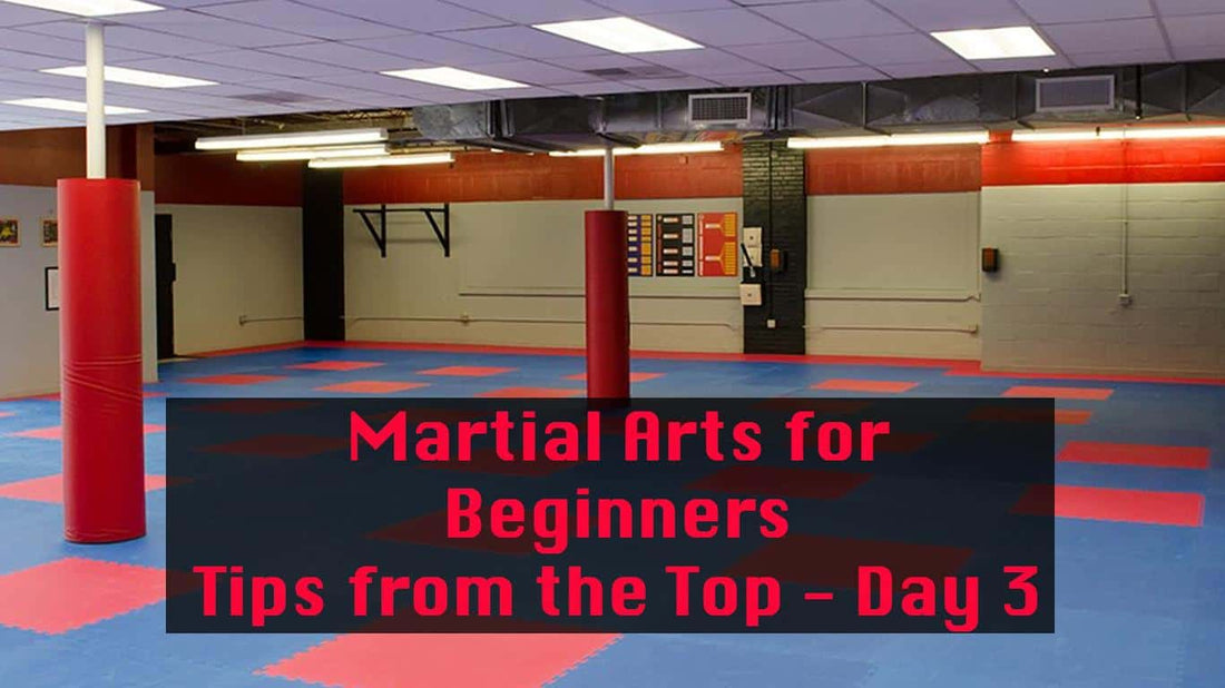 Martial Arts for Beginners - Tips from the Top 3 Day Series / Day 3