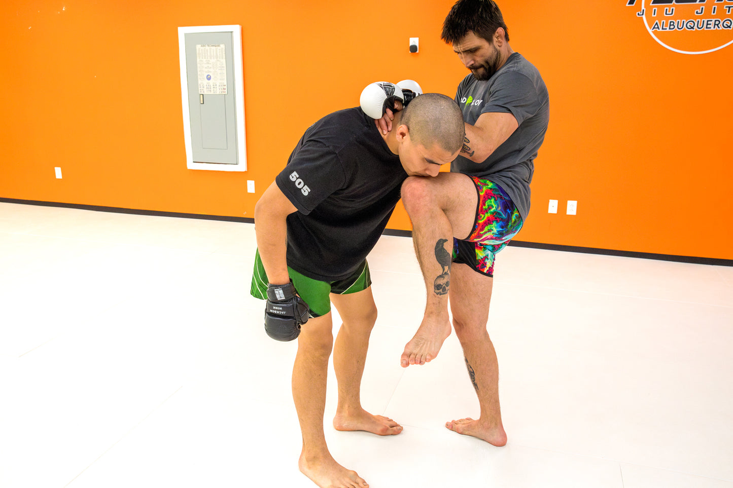 A demonstration of a knee in MMA