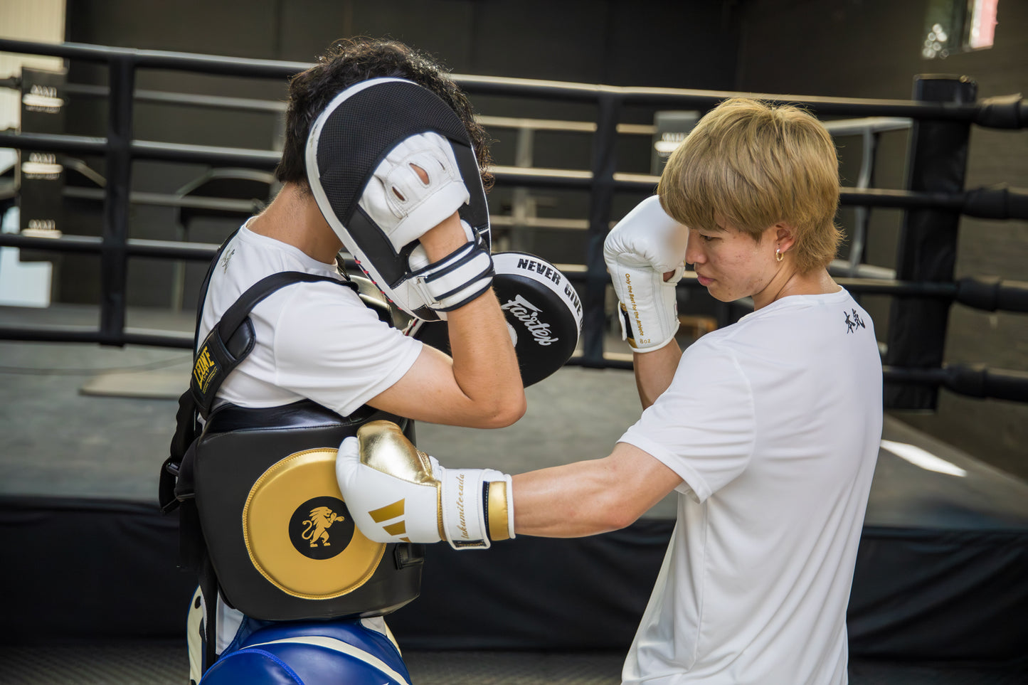 Two people training in a boxing ring, one wearing black and gold boxing guards and white gloves while the other in a white shirt practices with white and gold gloves. A black boxing ring is visible in the background.