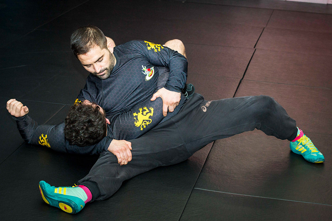 A photo showcasing elite level grappling