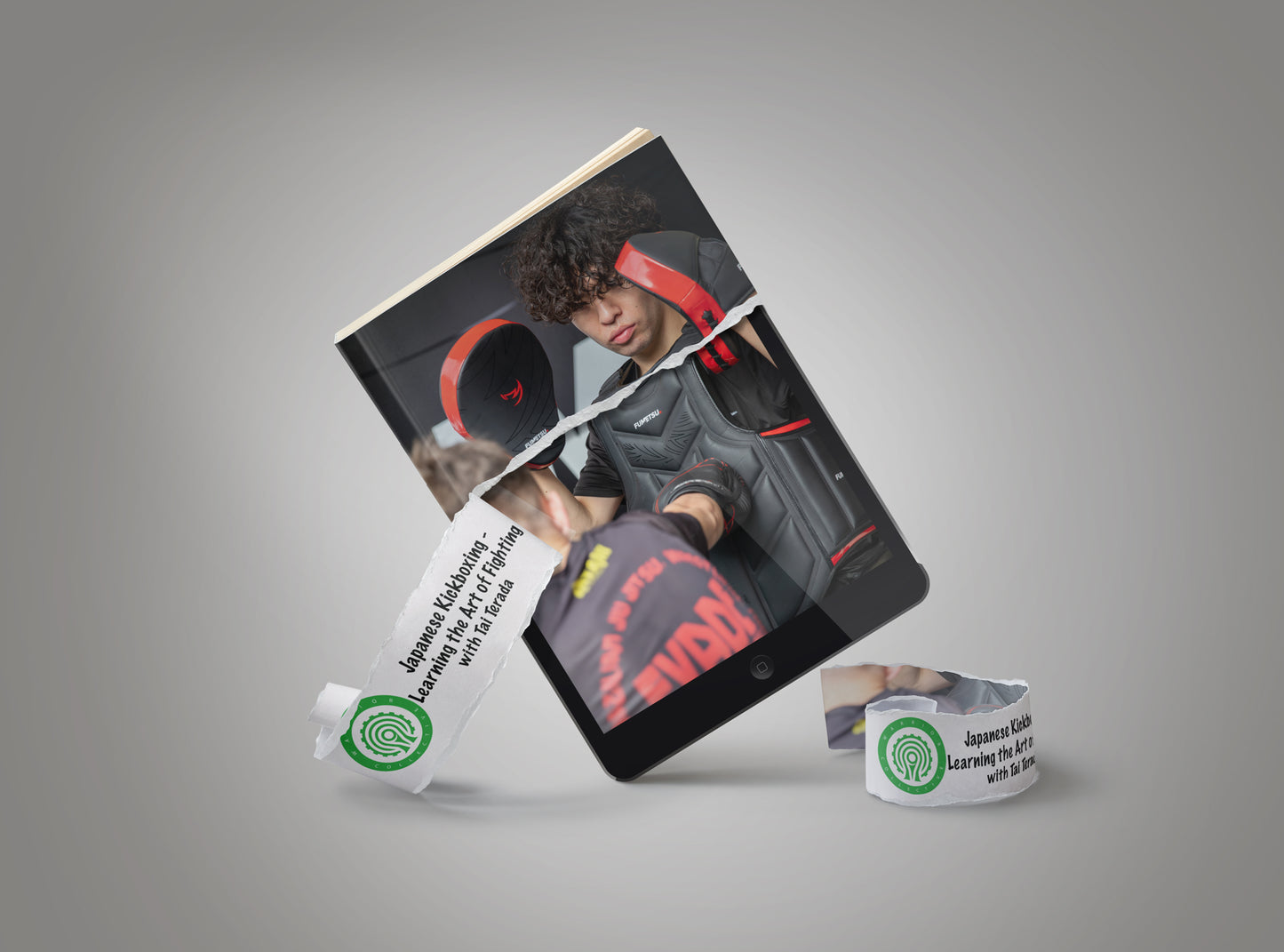 A graphic image of a martial arts digital download instructional volume