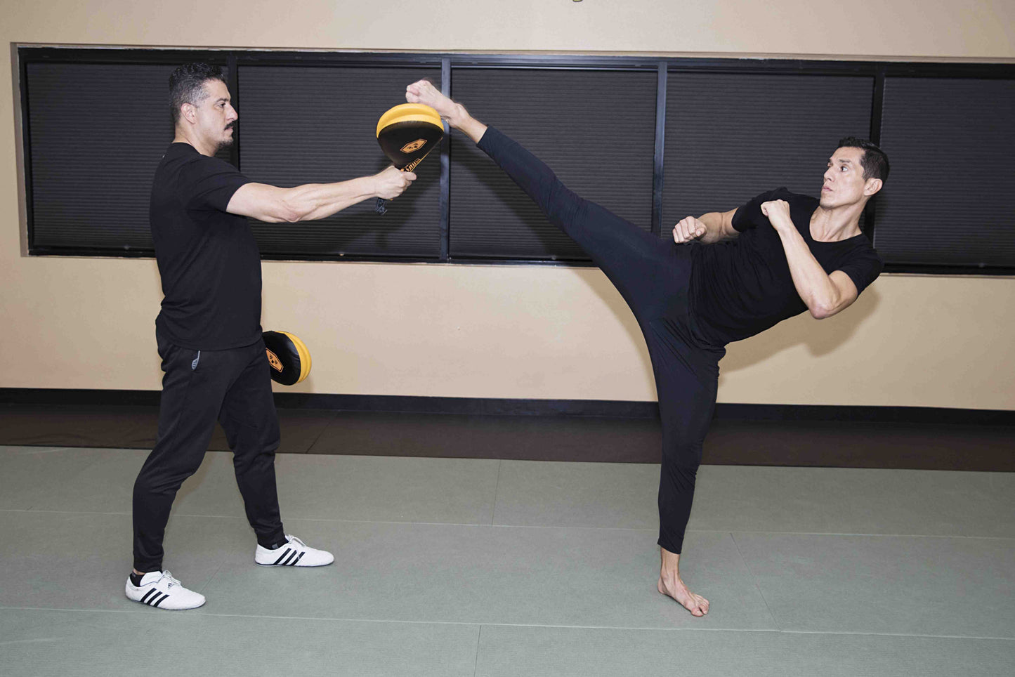 Superhuman Kicking - Taekwondo for Combat Sports with Steven Lopez