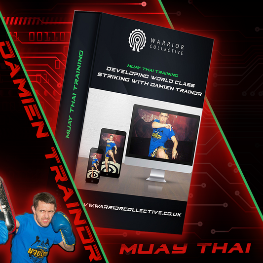 Muay Thai Training - Developing World Class Striking with Damien Trainor